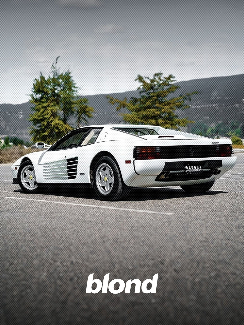 White Ferrari X Blonde